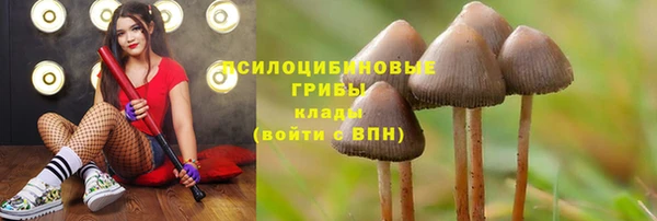 ешки Волоколамск